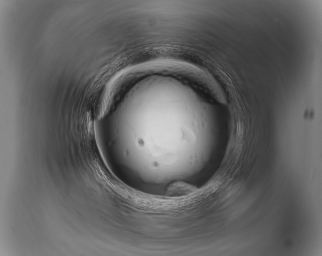 X0000115620048200911101425