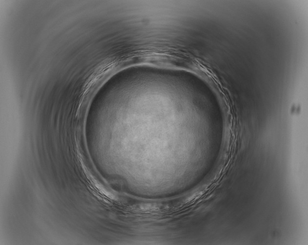 X0000115620049200911101424