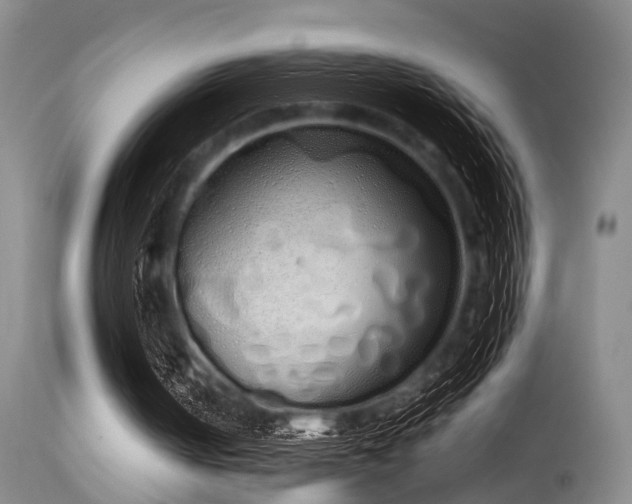 X0000115620050200911101424