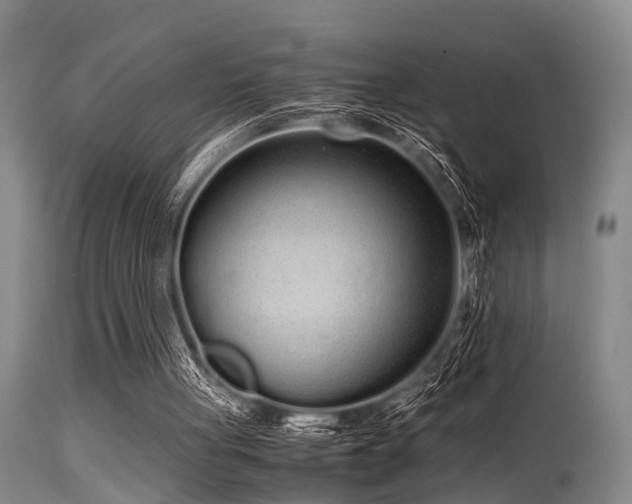 X0000115620051200911101424