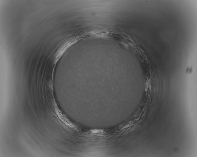 X0000115620052200911101424