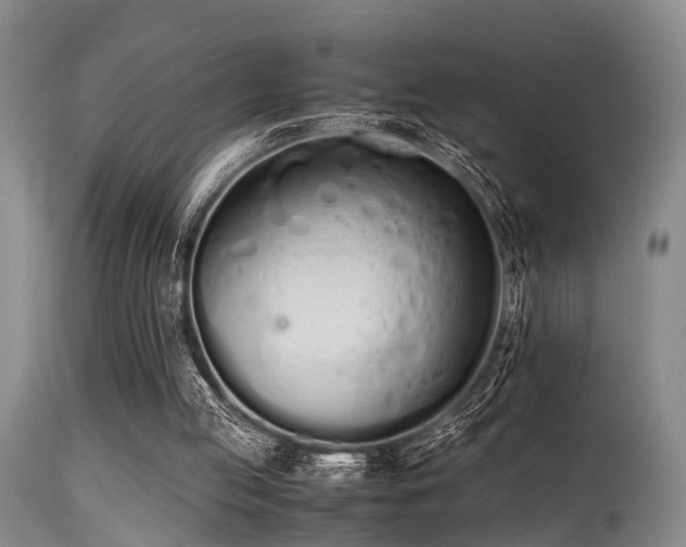 X0000115620053200911101424