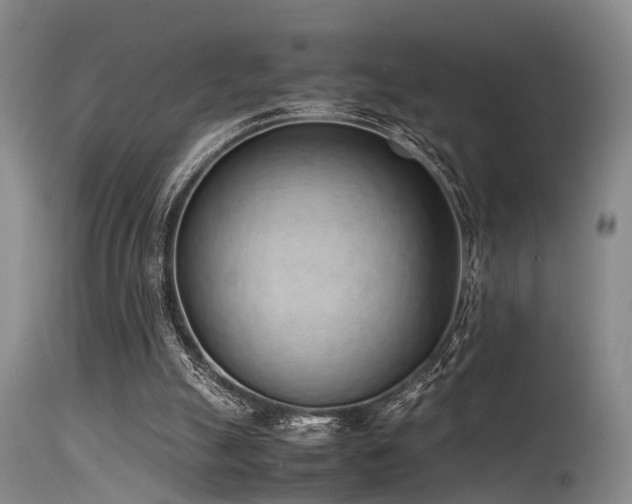 X0000115620055200911101424