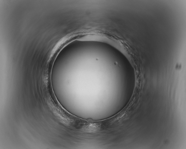 X0000115620056200911101424