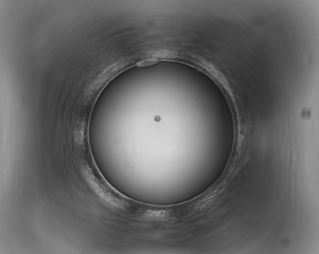 X0000115620057200911101424