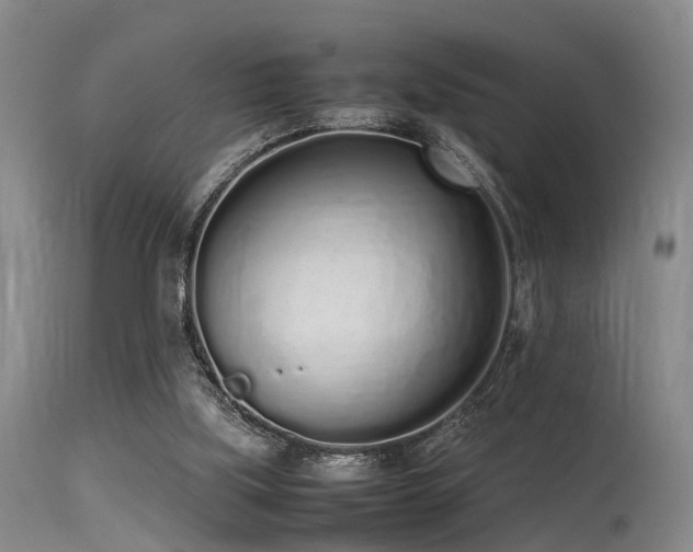 X0000115620059200911101424