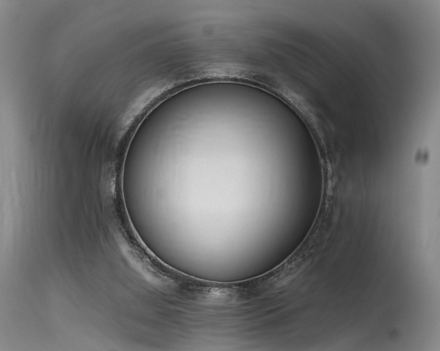 X0000115620060200911101424