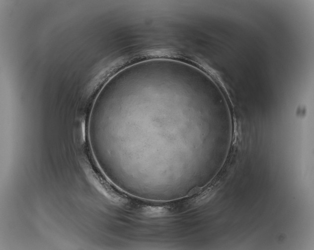 X0000115620061200911101424