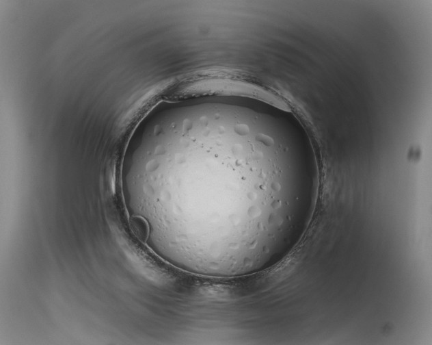 X0000115620062200911101424