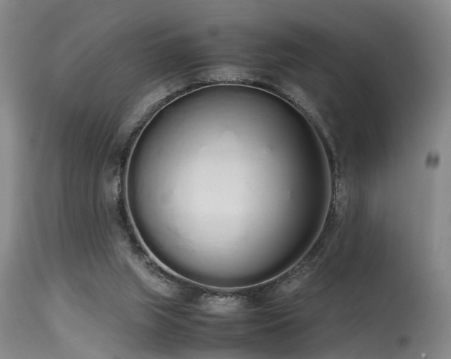 X0000115620063200911101424