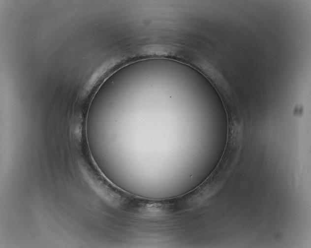 X0000115620064200911101424