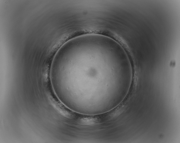 X0000115620065200911101424