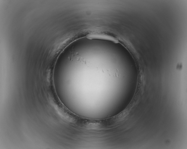 X0000115620066200911101424