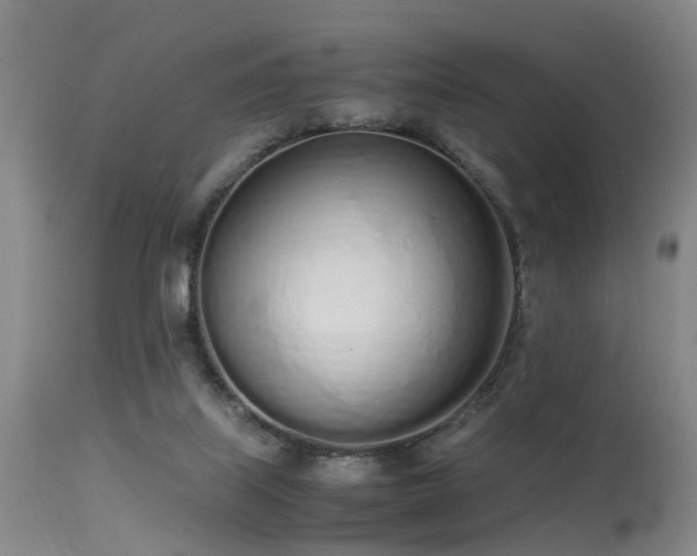 X0000115620067200911101424