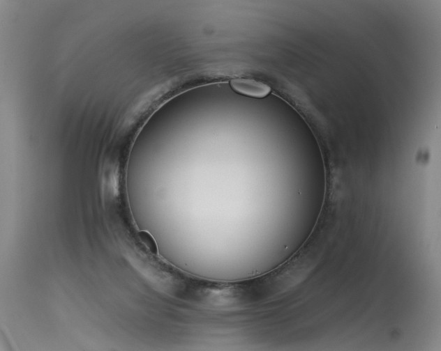 X0000115620068200911101424