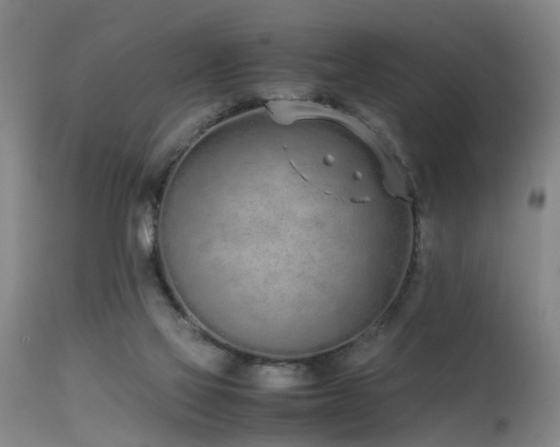 X0000115620069200911101424