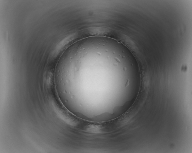 X0000115620071200911101424