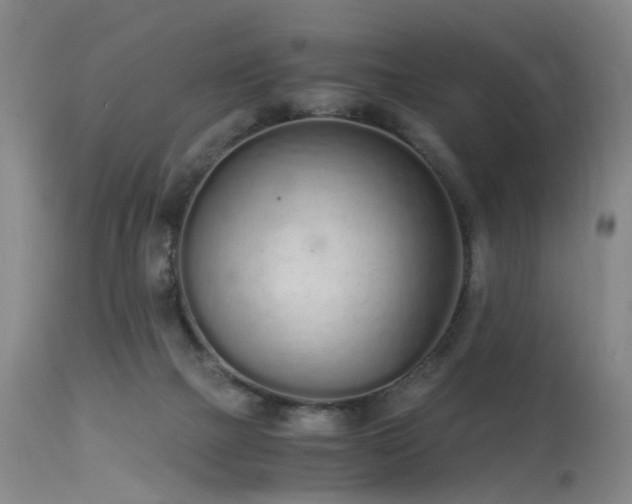 X0000115620073200911101424