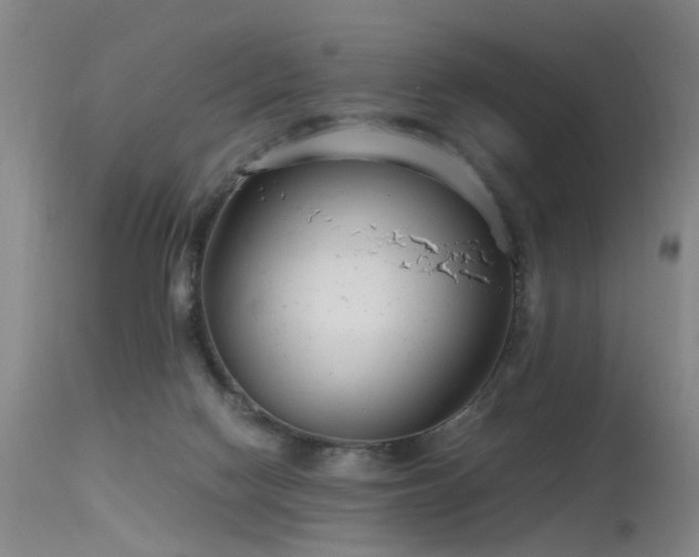 X0000115620074200911101424