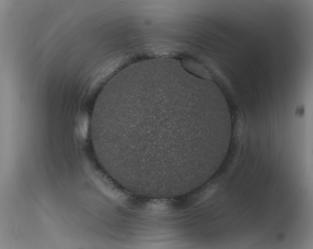 X0000115620076200911101424