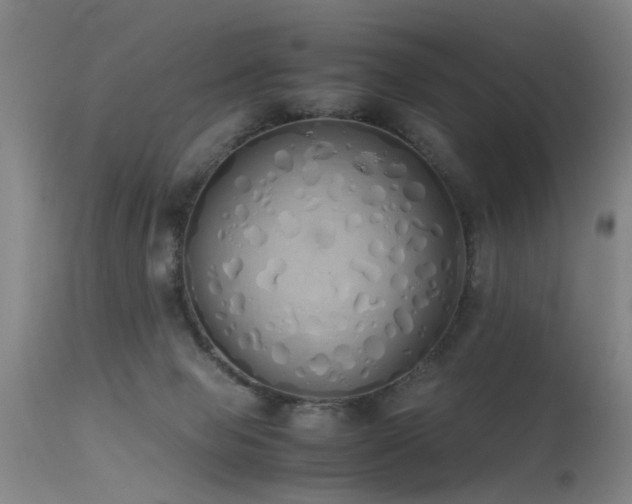 X0000115620077200911101424