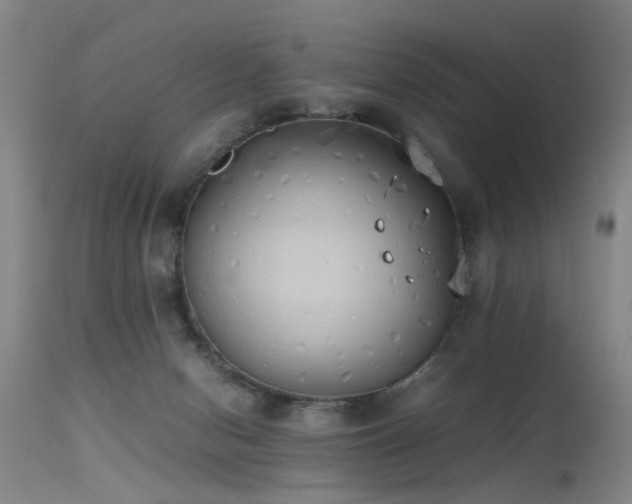 X0000115620078200911101424