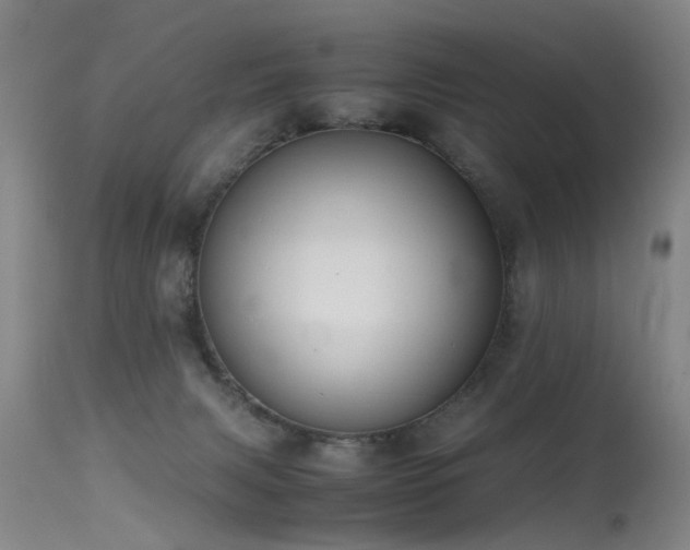 X0000115620079200911101424