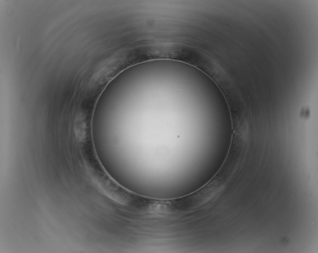 X0000115620080200911101424