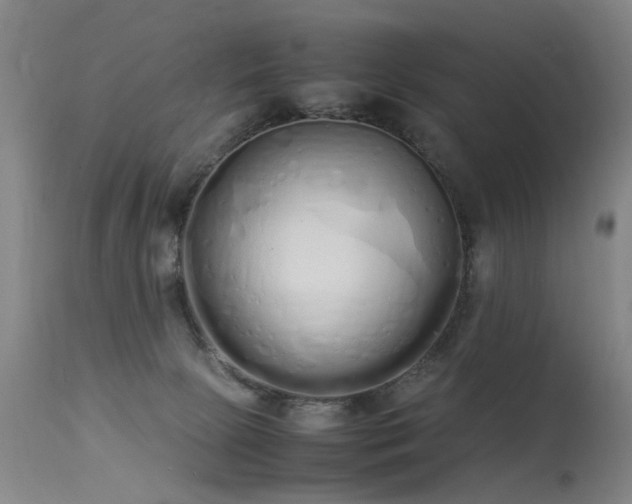 X0000115620081200911101424