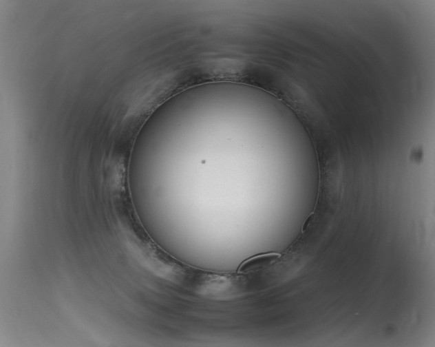 X0000115620083200911101425