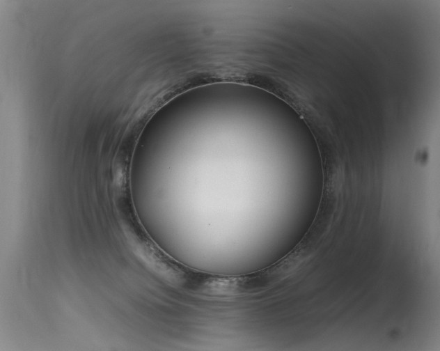 X0000115620084200911101425