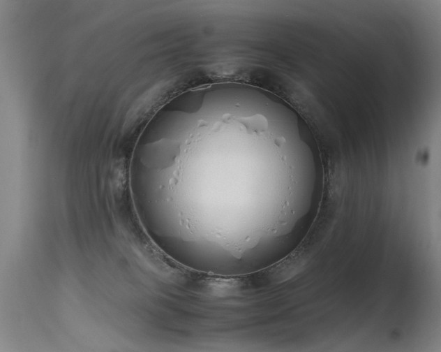 X0000115620085200911101425