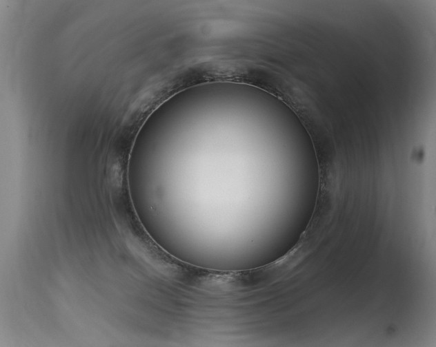 X0000115620086200911101425