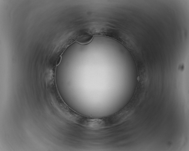 X0000115620087200911101425