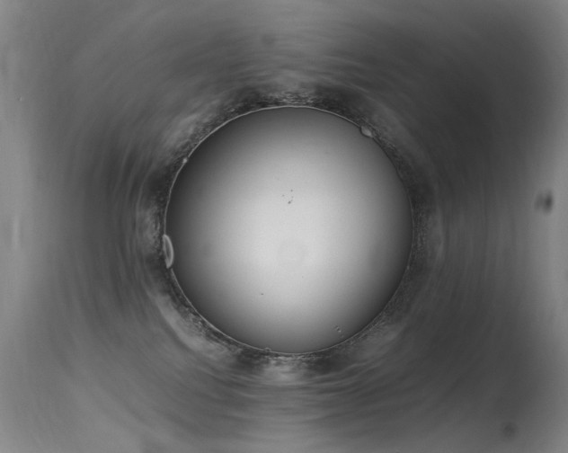 X0000115620088200911101425