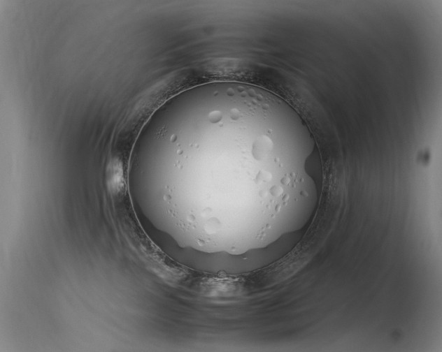 X0000115620089200911101425