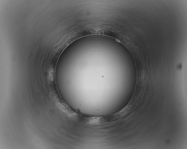 X0000115620090200911101425