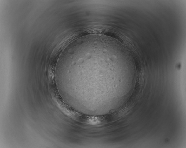 X0000115620091200911101425