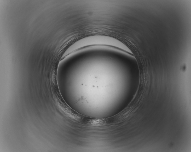 X0000115620092200911101425