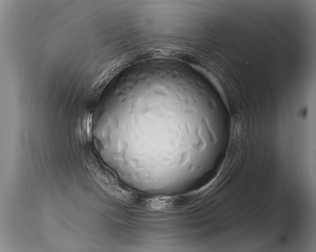 X0000115620094200911101425