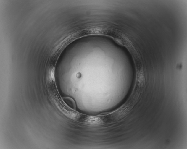 X0000115620095200911101425