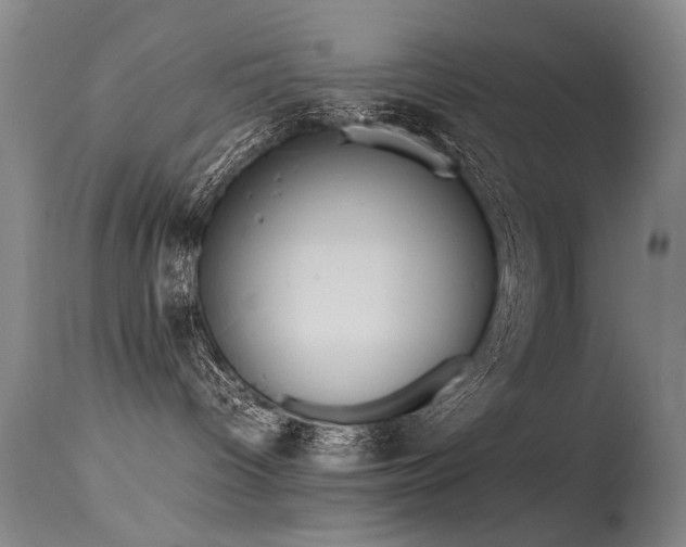 X0000115620096200911101425