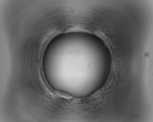 X0000115620097200911101424