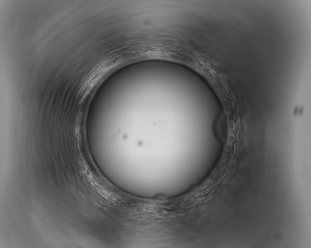 X0000115620098200911101424