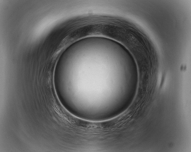 X0000115620099200911101424