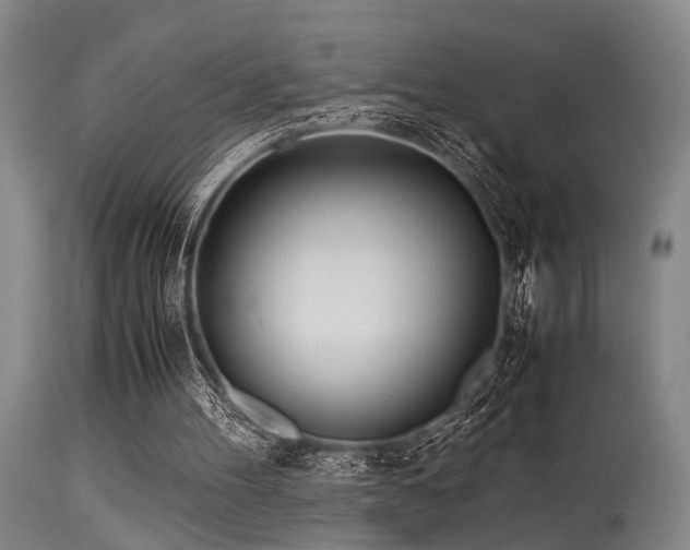 X0000115620100200911101424