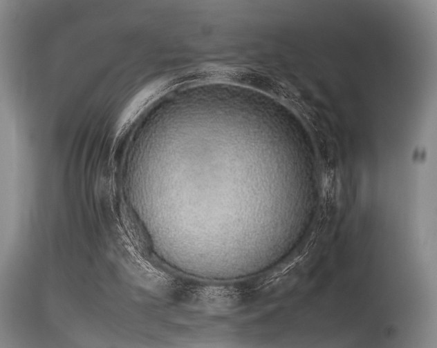 X0000115620101200911101424