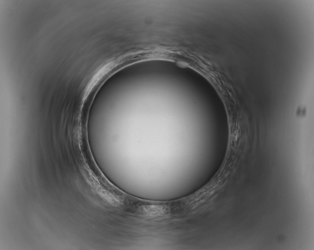 X0000115620102200911101424