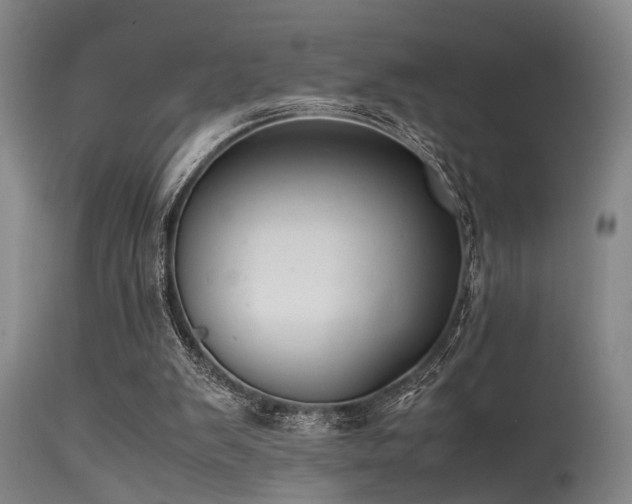 X0000115620103200911101424