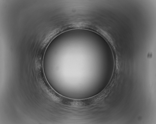 X0000115620105200911101424